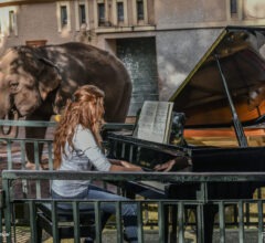 Note dai Villa Borghese Piano Days